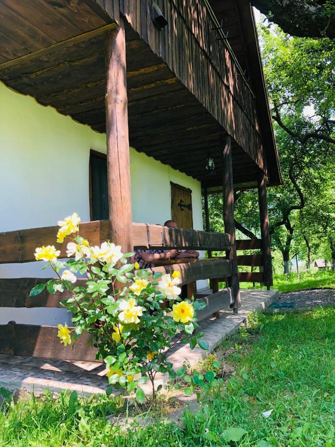 Еко Дім З Соломи Villa Solochyn Buitenkant foto