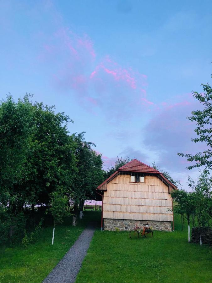 Еко Дім З Соломи Villa Solochyn Buitenkant foto