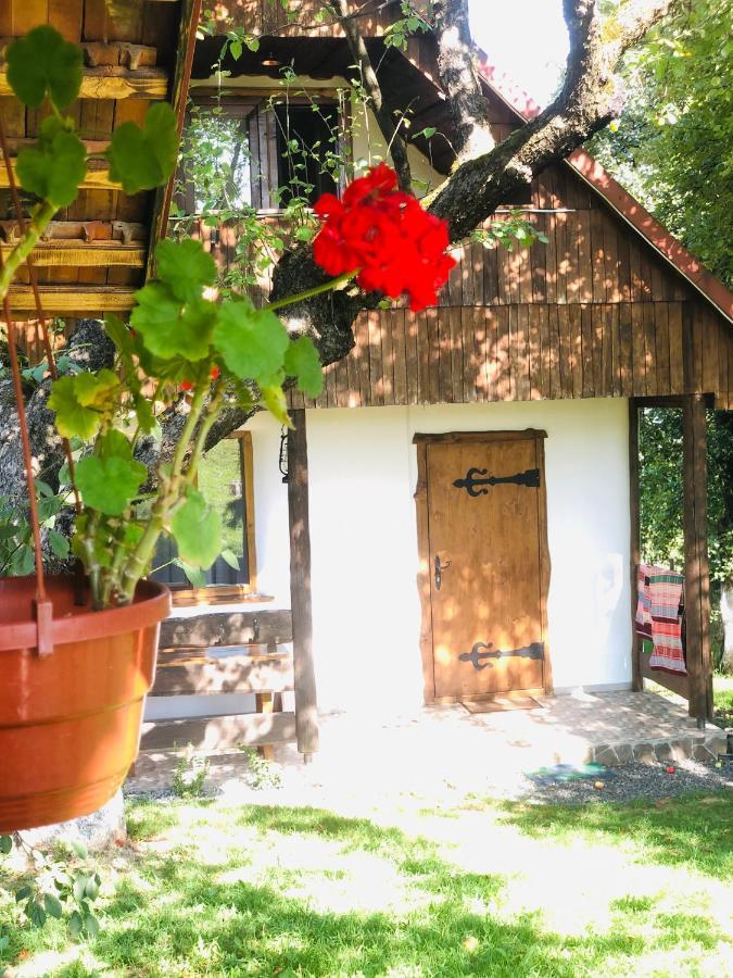 Еко Дім З Соломи Villa Solochyn Buitenkant foto