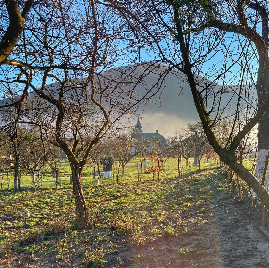 Еко Дім З Соломи Villa Solochyn Buitenkant foto
