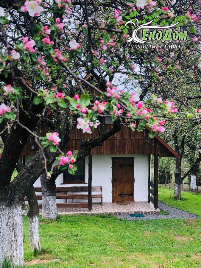 Еко Дім З Соломи Villa Solochyn Buitenkant foto