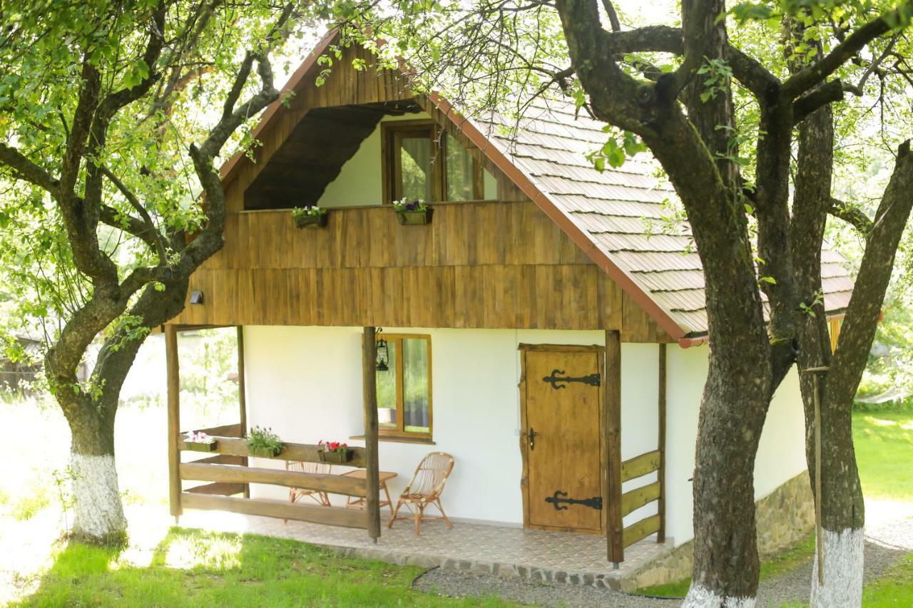 Еко Дім З Соломи Villa Solochyn Buitenkant foto