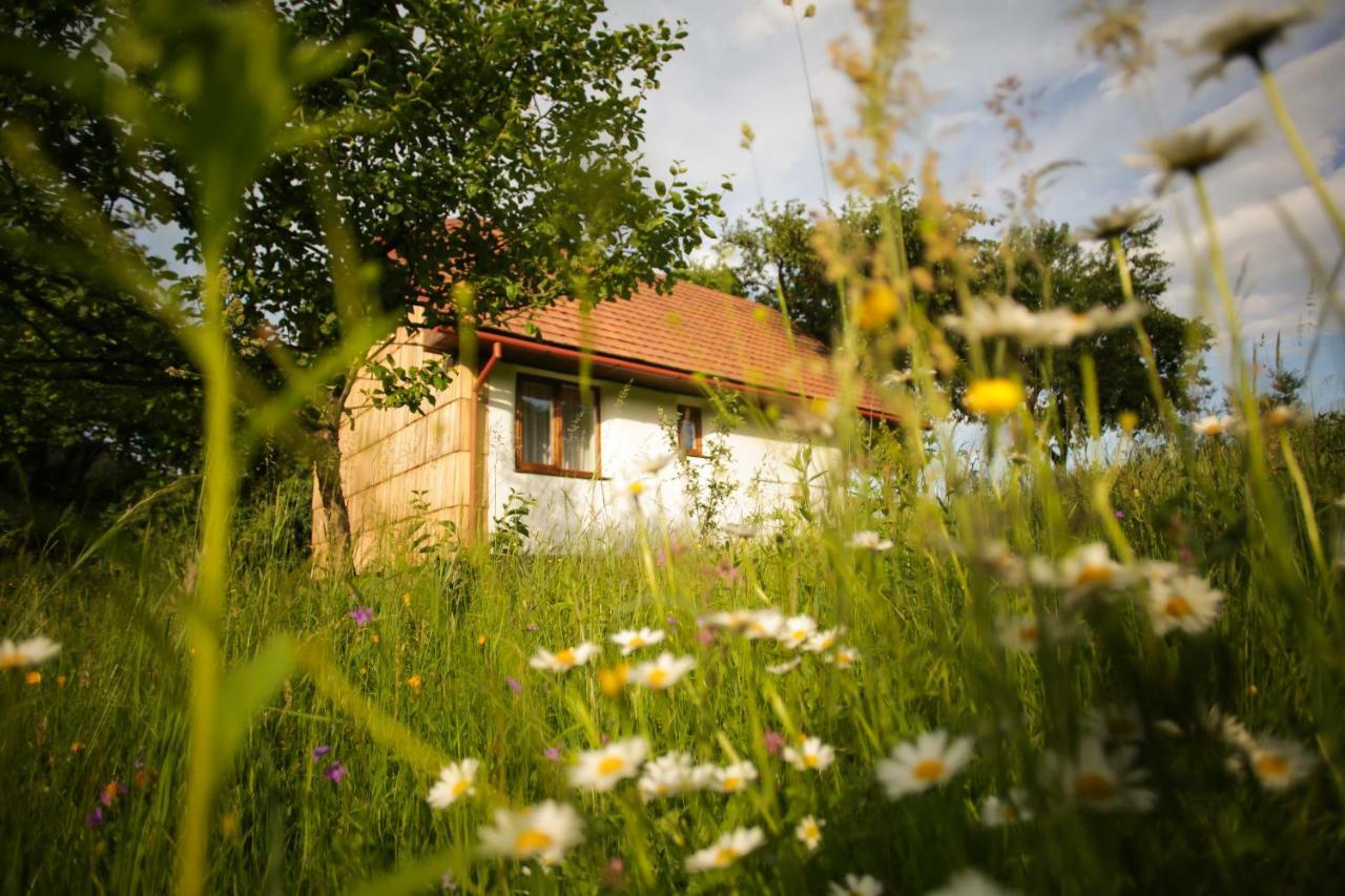 Еко Дім З Соломи Villa Solochyn Buitenkant foto