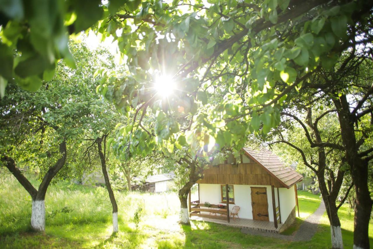 Еко Дім З Соломи Villa Solochyn Buitenkant foto